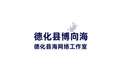 德化县博向海网络工作室 标志